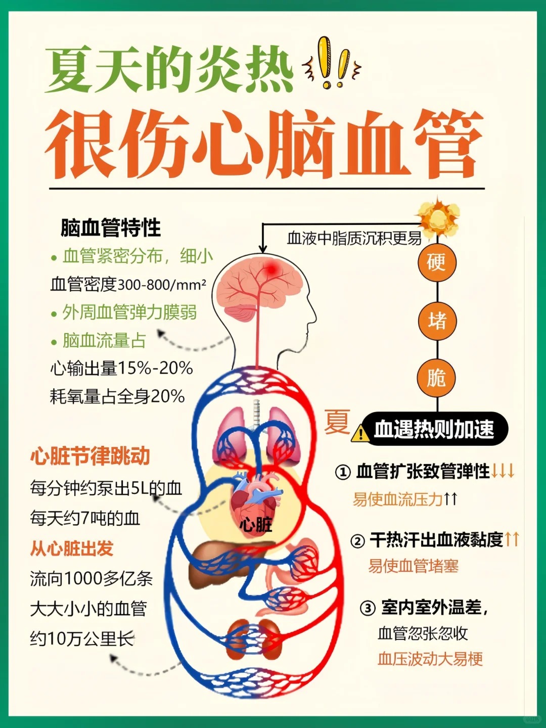 夏日炎炎，心脑血管拉响警报！。家人们别慌！💪雪蓝朵一起来护航！。夏日起居三避开，避开血管"雷区"：。👉少频繁进入空调房、减少突然用力、少大鱼大肉。